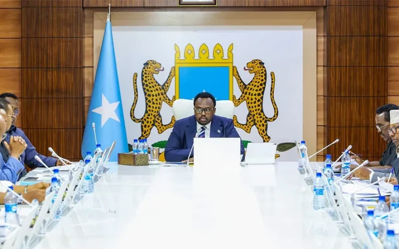 Somalia cancels all major, multimillion dollars deals with the UAE