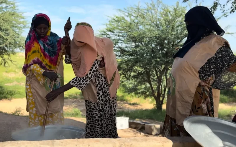 “I volunteer because I love my people”: On the ground with Darfur’s mutual aid volunteers