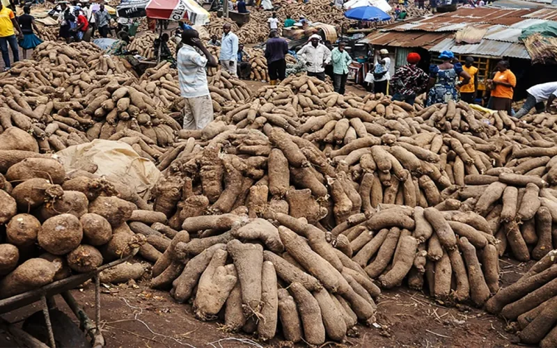Nigerian farmers talk about how climate change is affecting staple food crops – and what can help