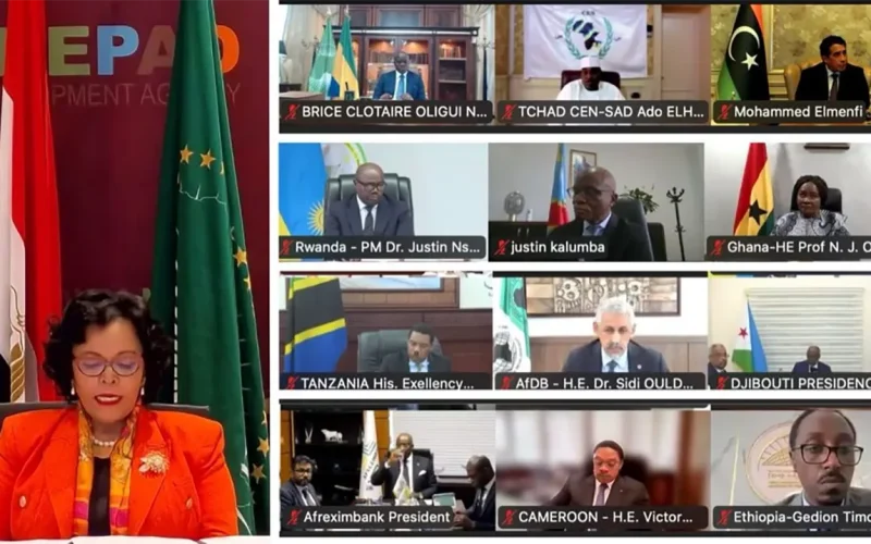 Africa launches major health financing initiative to address $2.4 trillion economic burden