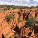 Tanzania is losing fertile land to soil erosion: what’s happening and what can be done Kenya_soil erosion_gullies
