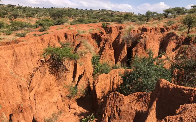 Tanzania is losing fertile land to soil erosion: what’s happening and what can be done