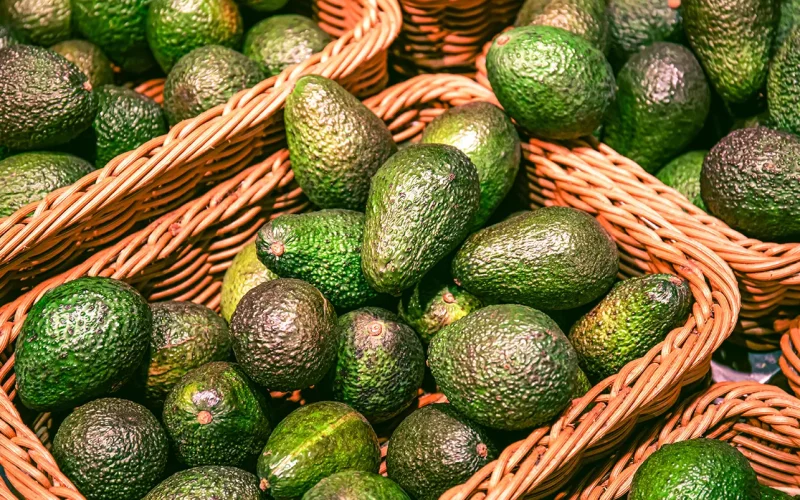 How Morocco is redrawing Africa’s avocado trade map