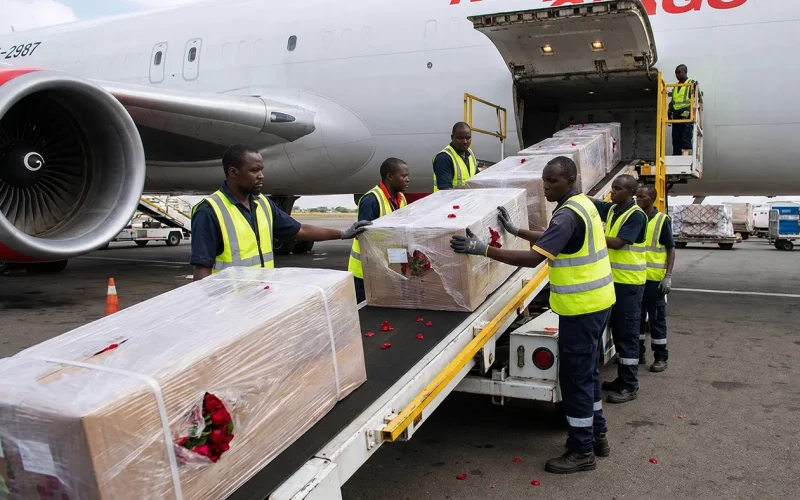 Africa’s flower power gets stronger