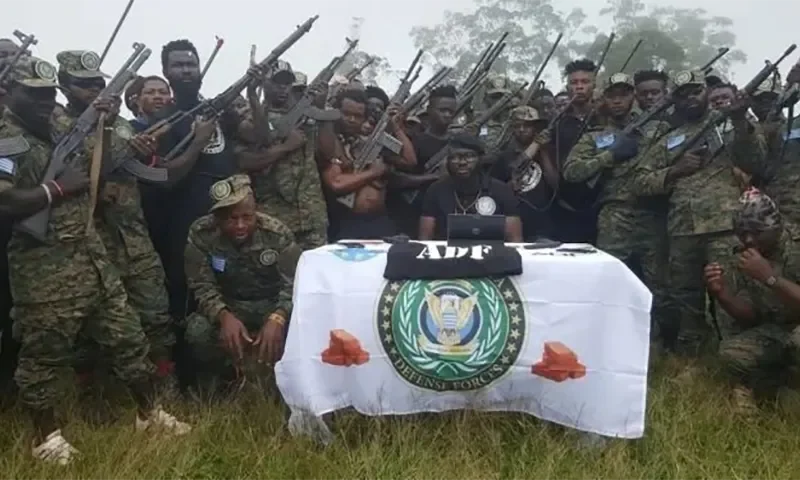 Belgium’s arrests expose the transnational reach of Cameroon’s anglophone war