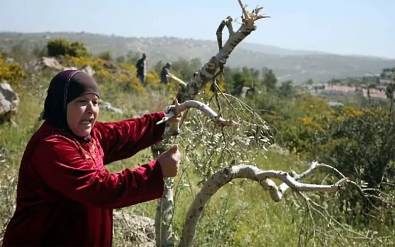 Land Day and the Palestinian struggle after 30 months of genocide
