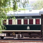 RVR-CoachesTrees-HRes