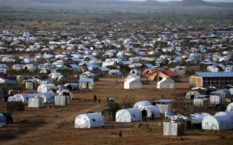 Ethiopia’s blame game after videos reveal starving displaced people in Tigray