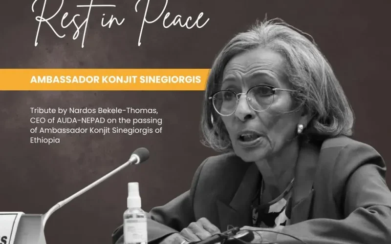 “She left behind a standard”: A tribute to Ambassador Konjit Sinegiorgis – diplomat, Pan-Africanist, and keeper of a fading flame