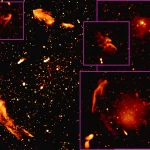 Diffuse radio emissions_MeerKAT telescope