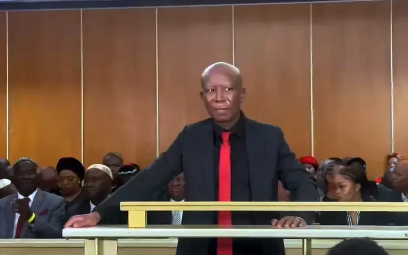 Firebrand at the crossroads: Malema’s five-year sentence threatens political career