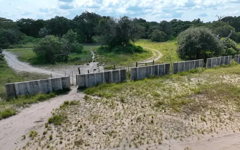 Court voids R84m SA-Moz border wall tender as army keeps recovering stolen cars