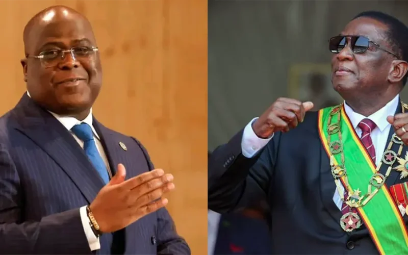 Clinging to the throne: Mnangagwa, Tshisekedi chart the same dangerous path
