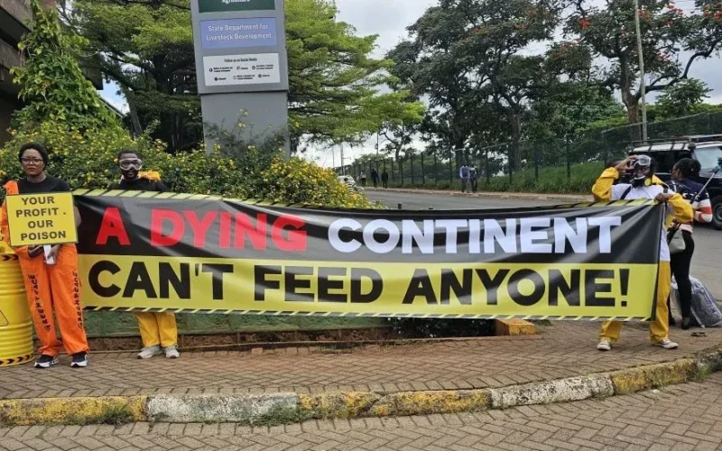 Food or poison? Inside Africa’s silent pesticide crisis