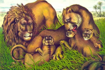Cameroon’s sacred and royal animals: could literature and futures thinking help save them?