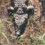 THE RIVER GIVETH NOT BACK: Five days, one crocodile, and a terrible truth on the Komati Komati Rescue10
