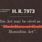 The word ‘Black’ has disappeared from a set of bills aimed at addressing Black maternal health The Momnibus Act