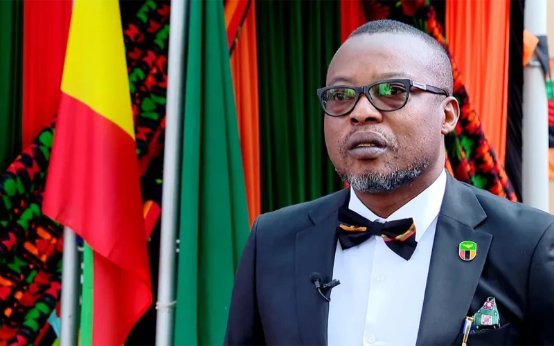 FIRED: The Zambian diplomat who sold his office