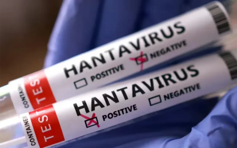Hantavirus: Zimbabwe, South Africa move to contain a crisis – while the world watches