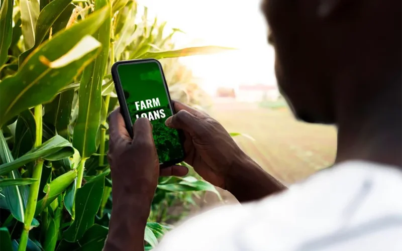 Kenya securitises smallholder farm loans in bid to unlock institutional finance