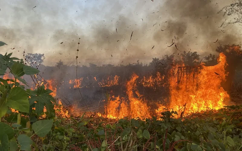 Angola’s long war changed the way farmers used fire – why it matters