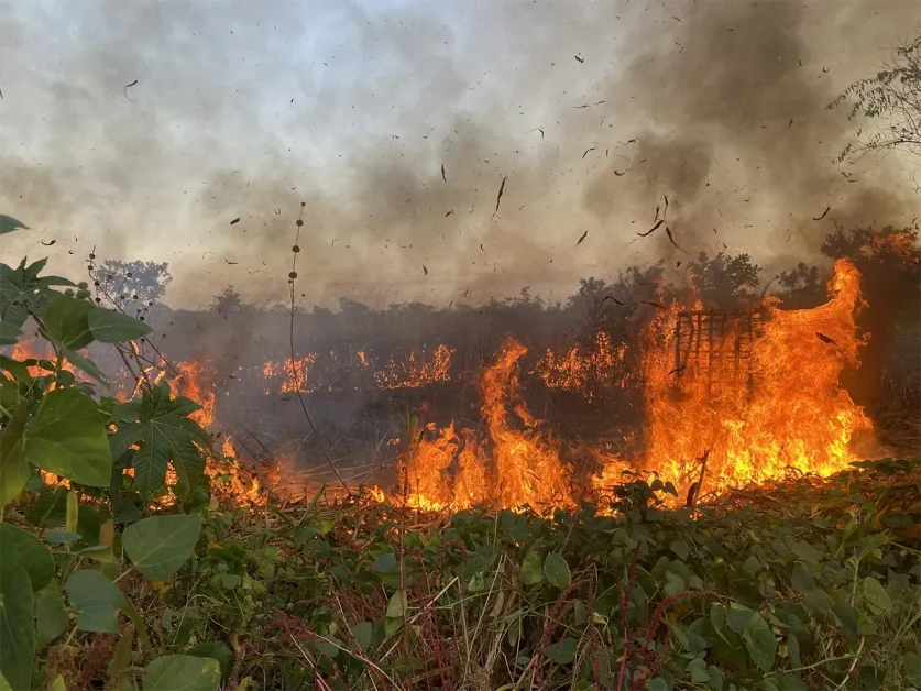 Angola’s long war changed the way farmers used fire – why it matters