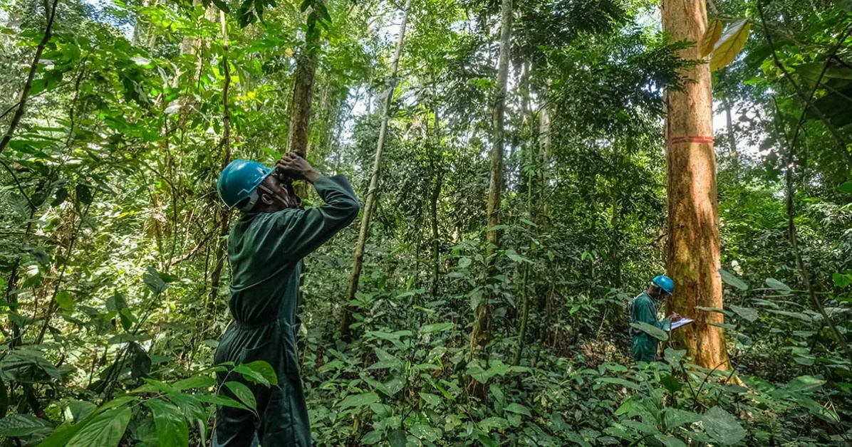 Experts call for greater investment in Africa-led research to safeguard the Congo Basin