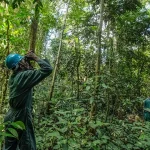 Experts call for greater investment in Africa-led research to safeguard the Congo Basin Congo Basin and other Central African forests