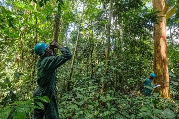 Experts call for greater investment in Africa-led research to safeguard the Congo Basin