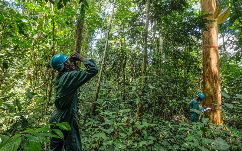 Experts call for greater investment in Africa-led research to safeguard the Congo Basin