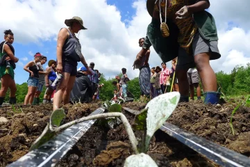 For Black women farmers, tending the land is ancestral and healing