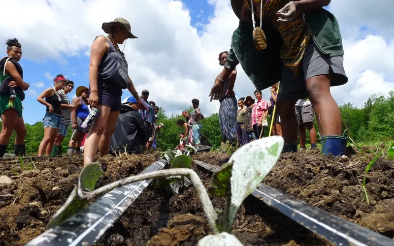 For Black women farmers, tending the land is ancestral and healing
