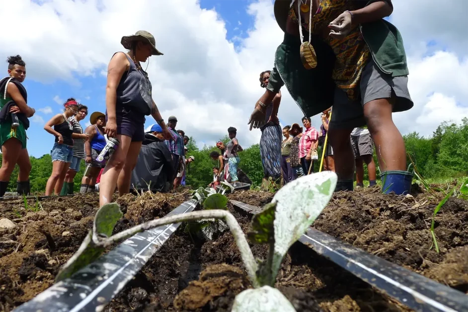 For Black women farmers, tending the land is ancestral and healing