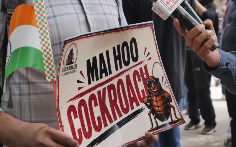 The youth jobs crisis fuelling India’s Cockroach Janta Party protests