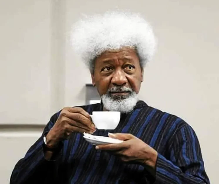 The great Wole Soyinka turns 92: The establishment still flinches
