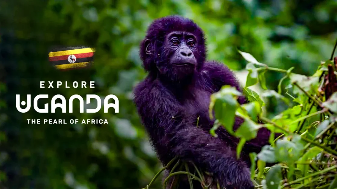 Uganda is latest in Africa’s destination branding boom