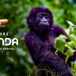 Uganda is latest in Africa’s destination branding boom