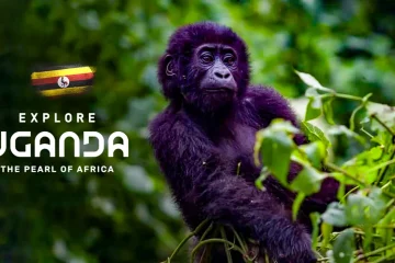 Uganda is latest in Africa’s destination branding boom