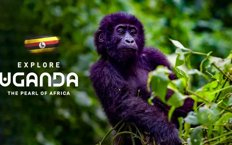 Uganda is latest in Africa’s destination branding boom